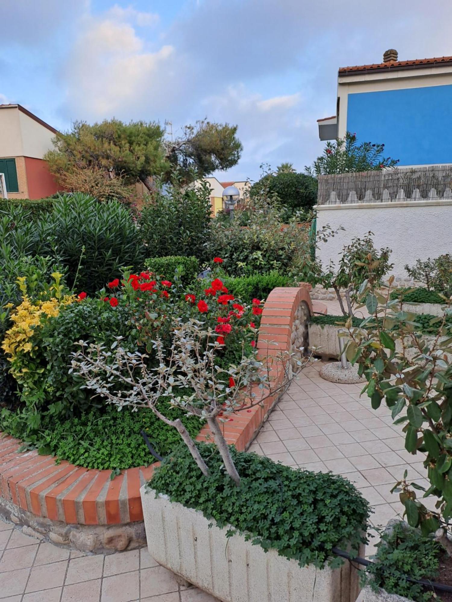Residence Airone Termoli Chambre photo